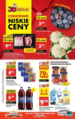 Biedronka gazetka