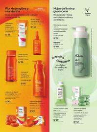 Catálogo Natura Página 107