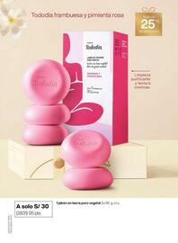 Catálogo Natura Página 14