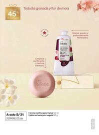 Catálogo Natura Página 17