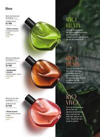 Catálogo Natura Página 31