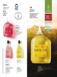 Catálogo Natura Página 37