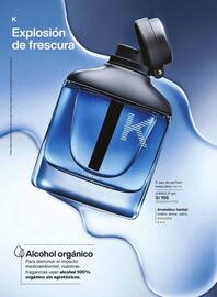 Catálogo Natura Página 41