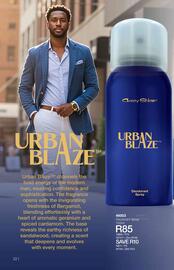 Avroy Shlain catalogue Page 21