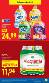 Lidl gazetka Strona 13