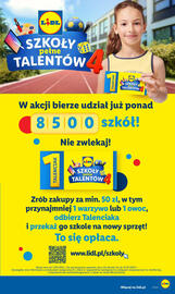 Lidl gazetka Strona 17