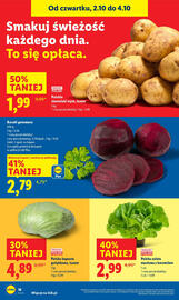 Lidl gazetka Strona 22