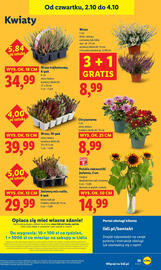 Lidl gazetka Strona 59