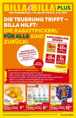 Billa Flugblatt (gültig bis 8-10)