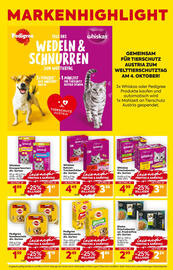 Billa Flugblatt woche 40 Seite 3