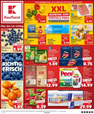Kaufland Prospekt (gültig bis 8-10)
