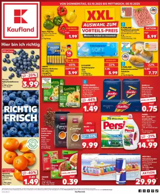Kaufland Prospekt (gültig bis 8-10)