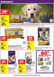 Catalogue Carrefour page 42