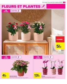 Catalogue Carrefour | TOUTES EN BEAUTÉ page 9