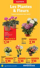 Catalogue Lidl semaine 41 page 28