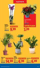 Catalogue Lidl semaine 41 page 29