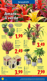 Volantino Lidl settimana 41 Pagina 44