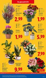 Volantino Lidl settimana 41 Pagina 45