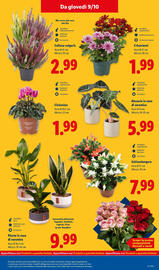 Volantino Lidl settimana 41 Pagina 45