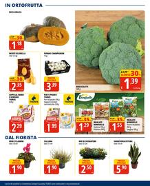 Volantino Tigros Pagina 15
