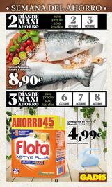 Folleto Gadis semana 40 Página 3