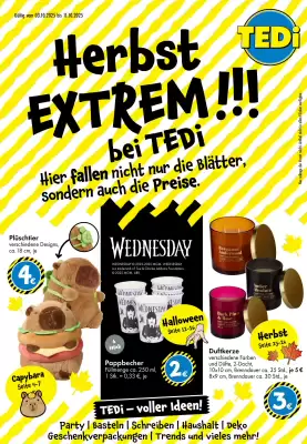 TEDi Prospekt (gültig bis 11-10)