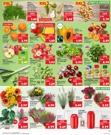 Kaufland Prospekt woche 40 Seite 11