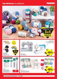 Pagro Diskont Flugblatt Seite 6