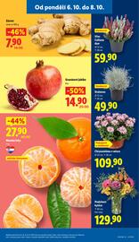 Lidl leták Strana 9