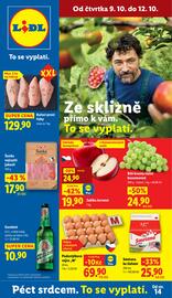 Lidl leták Strana 1