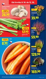 Lidl leták Strana 9