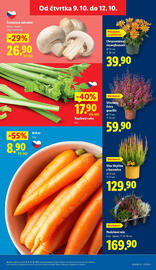 Lidl leták Strana 9