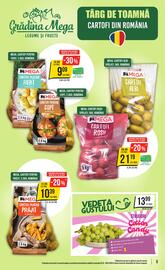 Catalog Mega Image săptămâna 40 Pagină 5