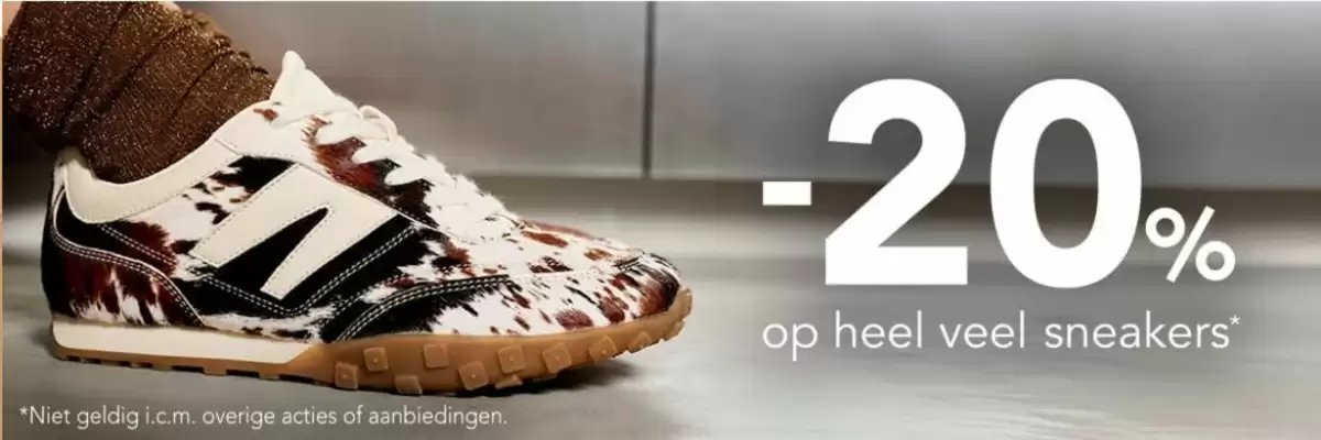 Nelson Schoenen folder (geldig t/m 8-10)