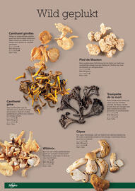 Sligro folder | Herfstspecial Pagina 22