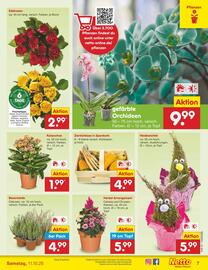 Netto Marken-Discount Prospekt woche 41 Seite 7