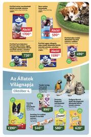 EcoFamily akciós újság Oldal 15