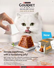 Sainsbury's leaflet Page 10