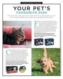 Sainsbury's leaflet Page 126