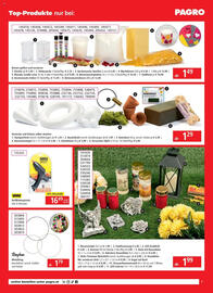 Libro Flugblatt Seite 7