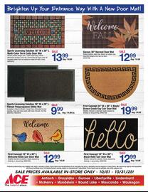 Ace Hardware flyer Page 13