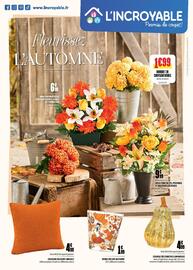 Catalogue L'incroyable page 1
