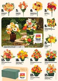 Catalogue L'incroyable page 2
