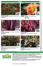 Catalogue Tridôme page 4