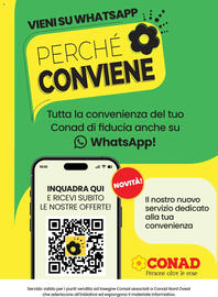 Volantino Conad | Mi Premio Pagina 3