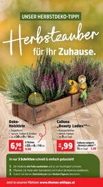 Thomas Philipps Prospekt woche 41 Seite 4