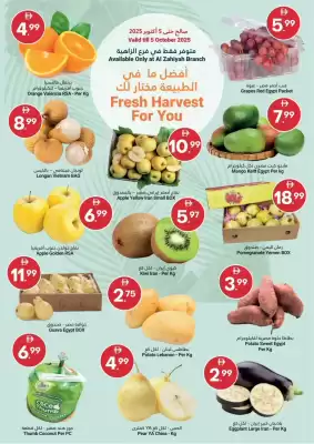Grand Emirates Market catalogue (valid until 5-10)