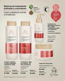 Catálogo Natura Página 146