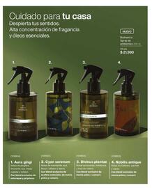 Catálogo Natura Página 36