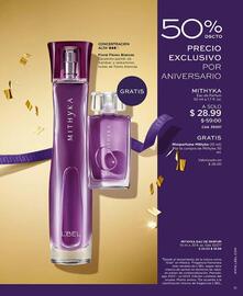 Catálogo L'bel Página 11